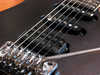 Dellinger HGS 2.jpg